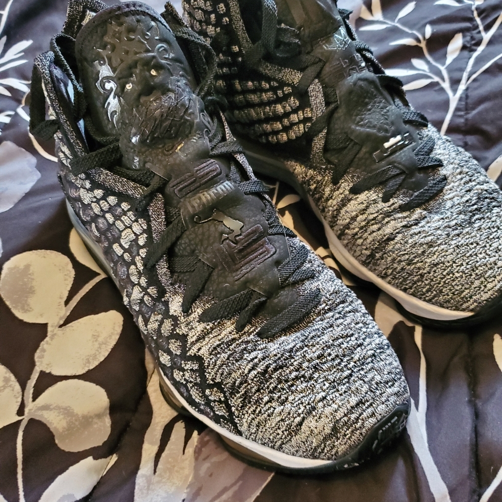 Lebron shoes